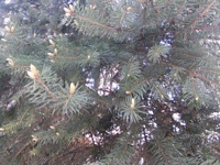 Zdjęcie: 16