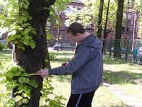 Zdjęcie: 3