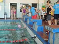 Zdjęcie: 15