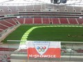 Zdjęcie: 14