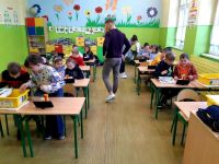 Zdjęcie: 43