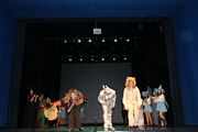 Zdjęcie: 62