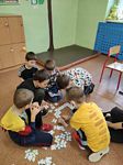 Zdjęcie: 6