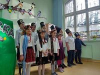 Zdjęcie: 5