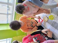 Zdjęcie: 11