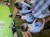 Zdjęcie: 4