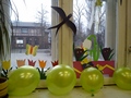 Zdjęcie: 88