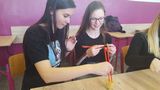 Zdjęcie: 3