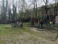 Zdjęcie: 23