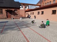 Zdjęcie: 55