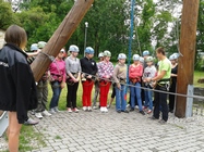 Zdjęcie: 11