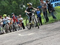 Zdjęcie: 66