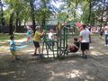 Zdjęcie: 17