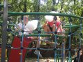 Zdjęcie: 39