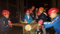 Zdjęcie: 11
