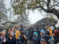 Zdjęcie: 140