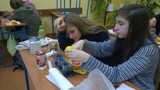 Zdjęcie: 16