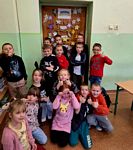Zdjęcie: 13