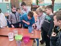 Zdjęcie: 6