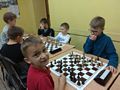 Zdjęcie: 11