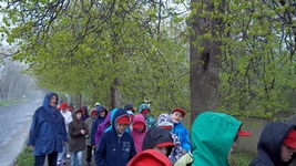Zdjęcie: 48