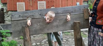 Zdjęcie: 84