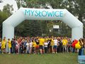 Zdjęcie: 315