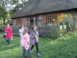 Zdjęcie: 19