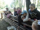 Zdjęcie: 7