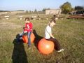 Zdjęcie: 45