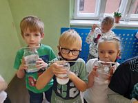 Zdjęcie: 1