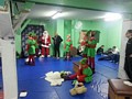 Zdjęcie: 11