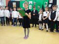 Zdjęcie: 41