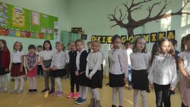 Zdjęcie: 12