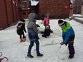 Zdjęcie: 10