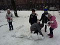 Zdjęcie: 21