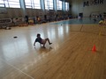 Zdjęcie: 105