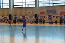 Zdjęcie: 43