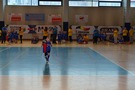 Zdjęcie: 44
