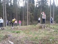 Zdjęcie: 5