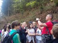 Zdjęcie: 6