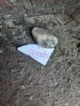 Zdjęcie: 7
