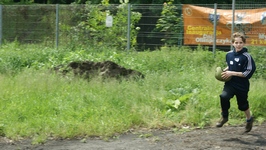Zdjęcie: 31