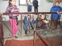 Zdjęcie: 2