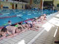 Zdjęcie: 6