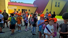 Zdjęcie: 31