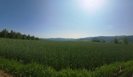 Zdjęcie: 34