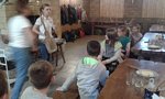 Zdjęcie: 43