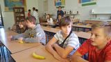 Zdjęcie: 16