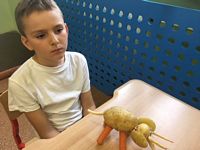 Zdjęcie: 5